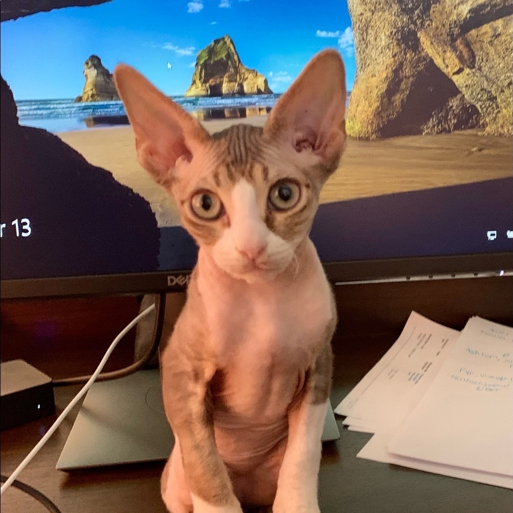 @Bekafab  FOLLOW GAME😻 - Picture 2 of 11